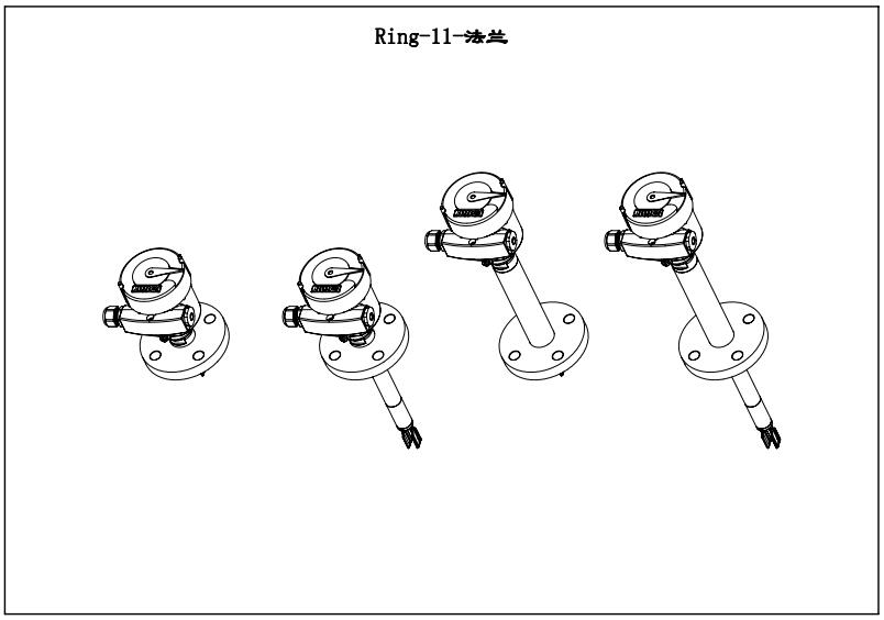 Ring-11高壓防護型音叉液位開關（法蘭）